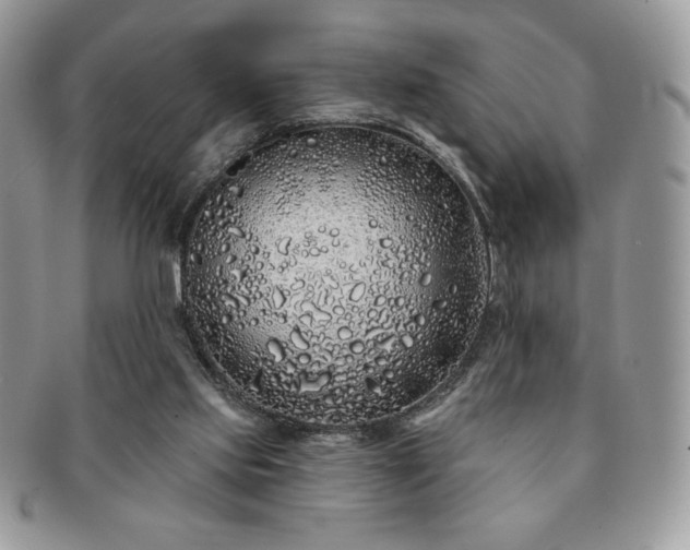 X0000091190061200708161601