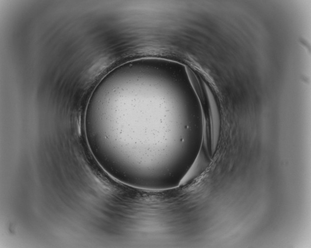 X0000091190062200708161601