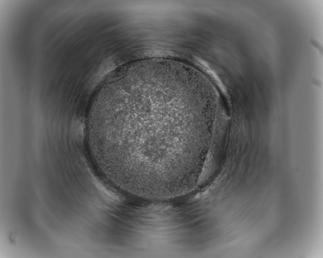 X0000091190063200708161601