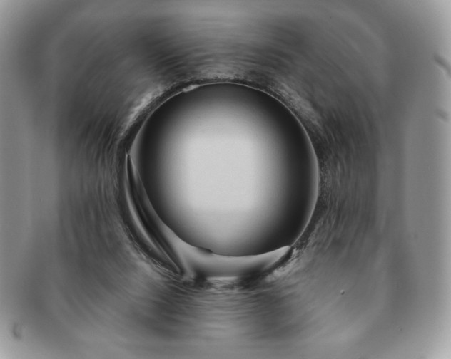 X0000091190064200708161601