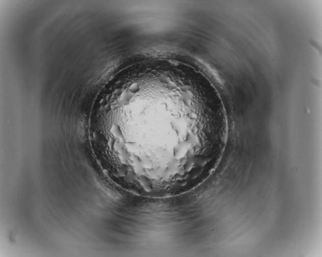 X0000091190065200708161601