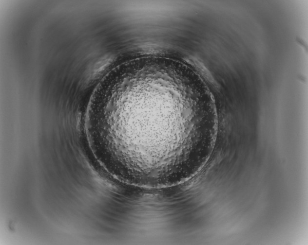 X0000091190066200708161601