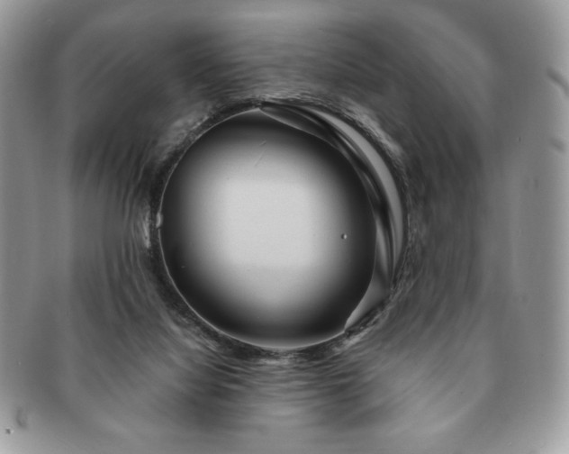X0000091190068200708161601