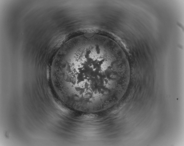 X0000091190069200708161601