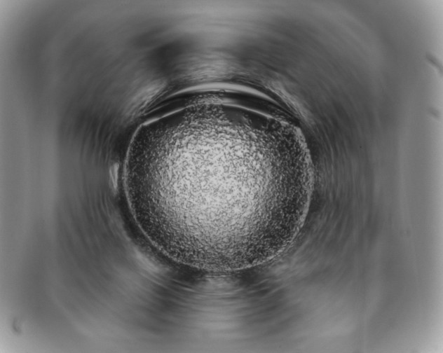 X0000091190070200708161601