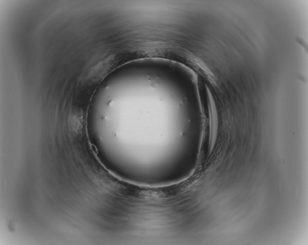 X0000091190073200708161601