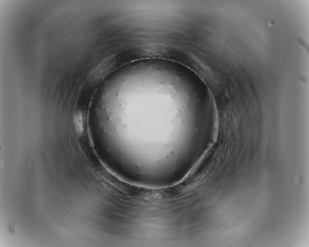X0000091190075200708161601