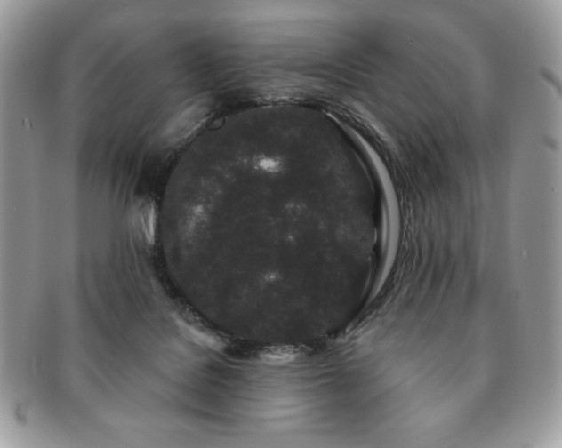 X0000091190076200708161601