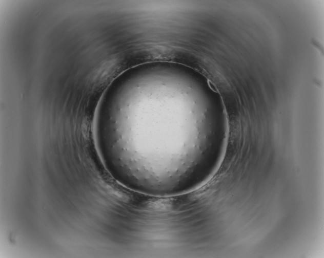 X0000091190078200708161601