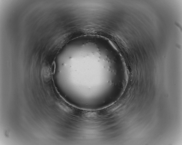 X0000091190081200708161601