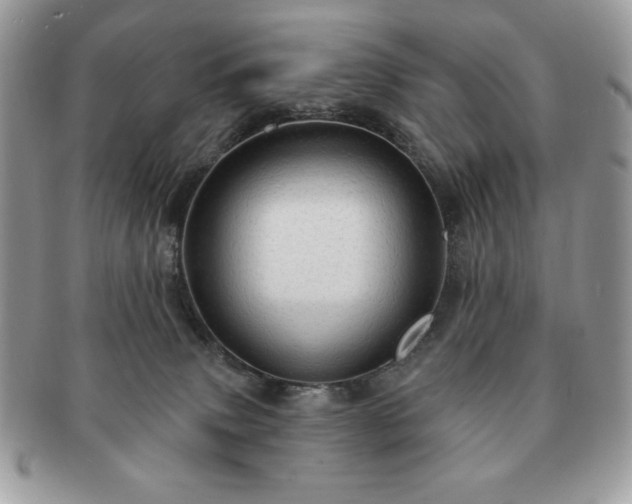 X0000091190083200708161601