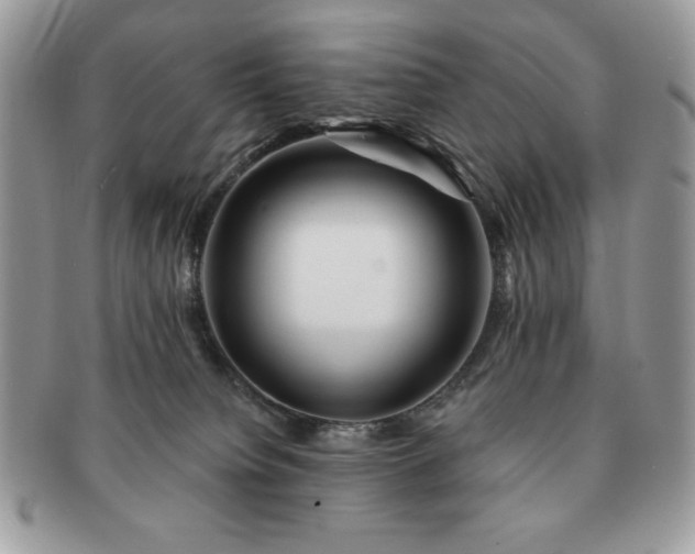 X0000091190084200708161601