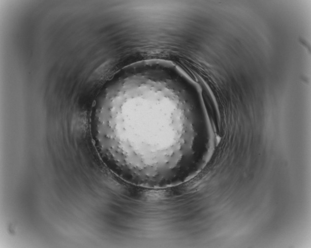 X0000091190085200708161601