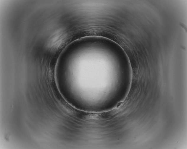 X0000091190086200708161601