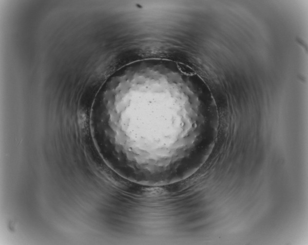 X0000091190087200708161601