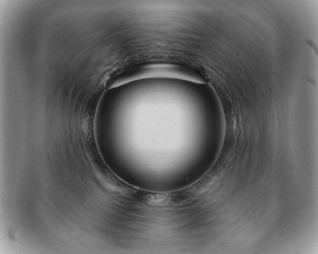 X0000091190088200708161601