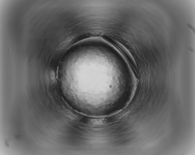 X0000091190089200708161601