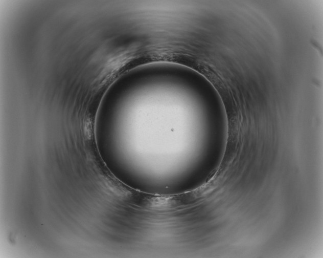 X0000091190090200708161601