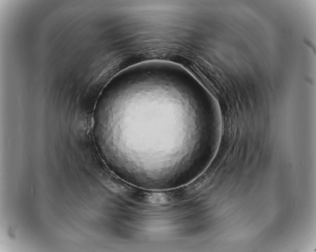 X0000091190091200708161601