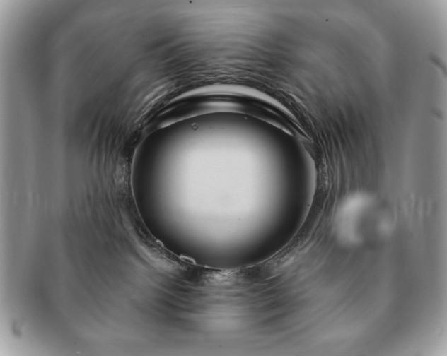X0000091190092200708161601