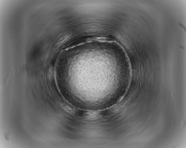 X0000091190093200708161601