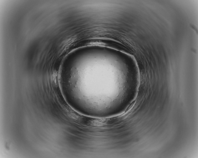 X0000091190094200708161601