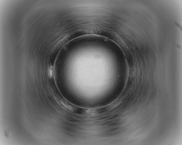 X0000091190095200708161601