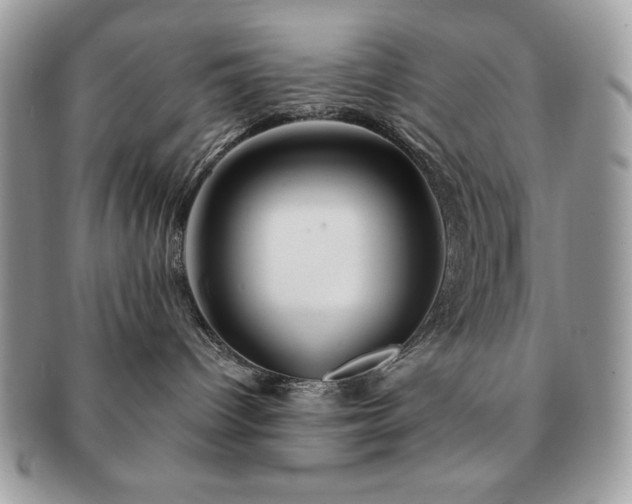 X0000091190096200708161601