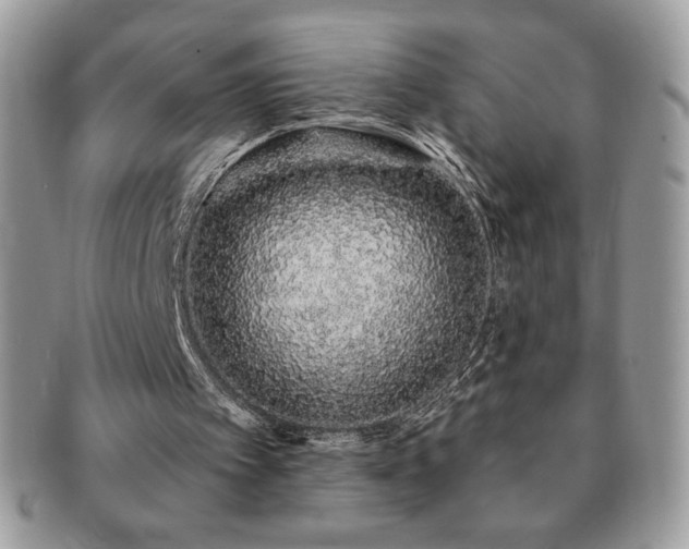 X0000091190097200708161600