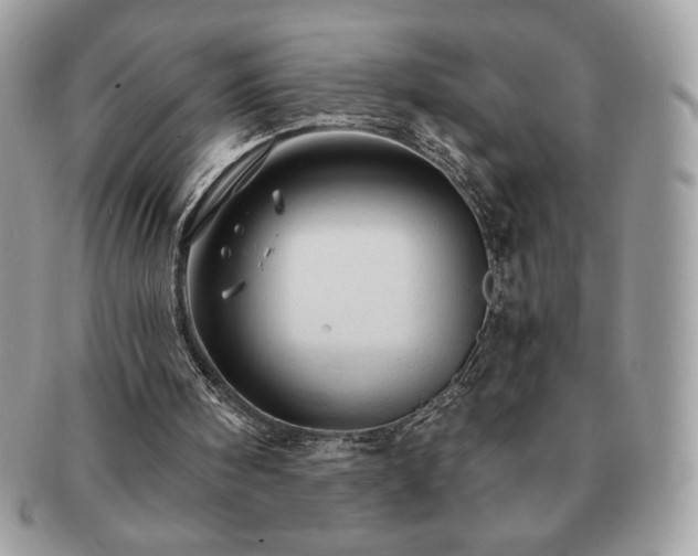 X0000091190098200708161600