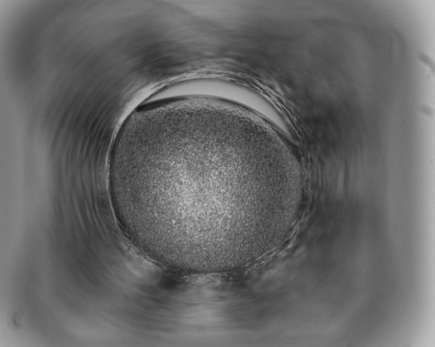 X0000091190100200708161600