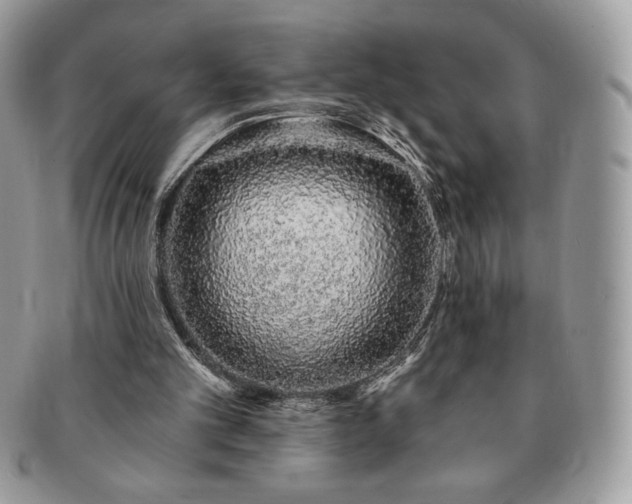 X0000091190101200708161600