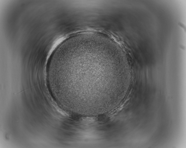 X0000091190102200708161600