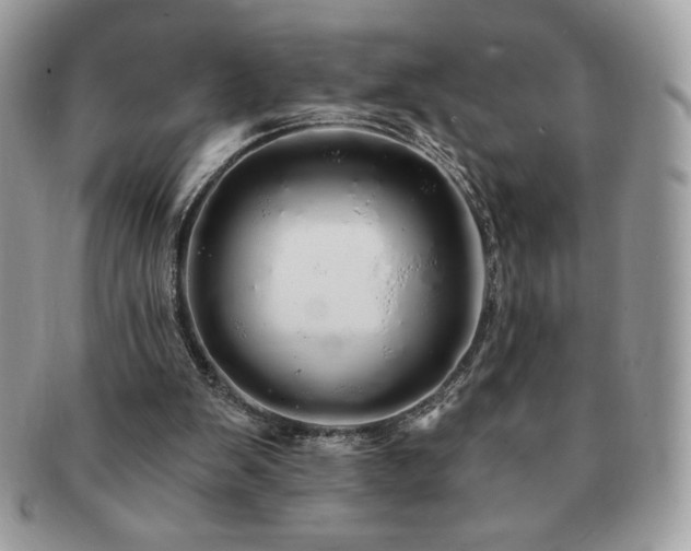 X0000091190103200708161600