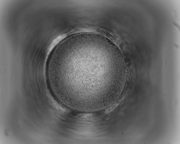 X0000091190104200708161600