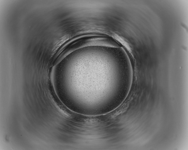 X0000091190105200708161600