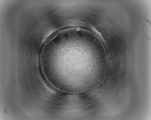 X0000091190106200708161600