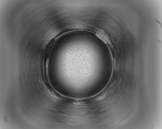 X0000091190109200708161600