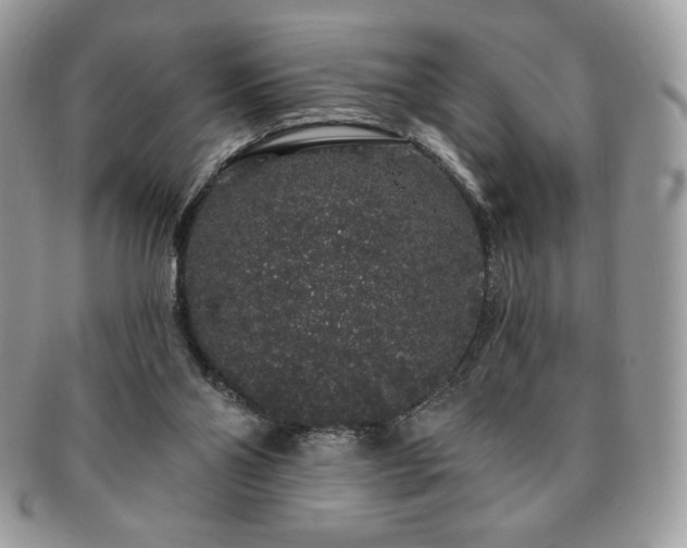 X0000091190110200708161600