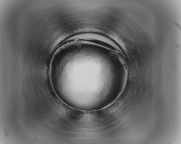 X0000091190111200708161600