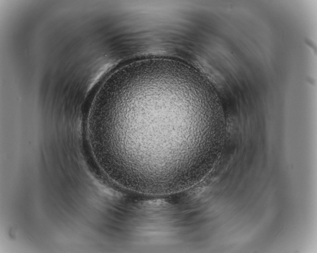 X0000091190112200708161600