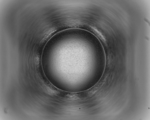 X0000091190113200708161600