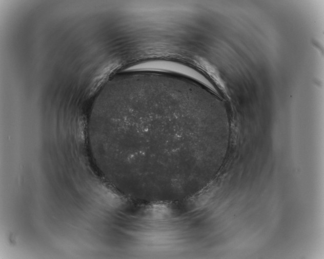 X0000091190114200708161600
