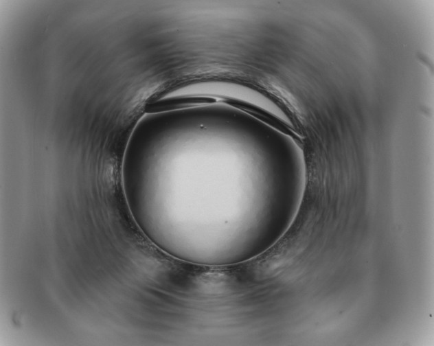 X0000091190119200708161600
