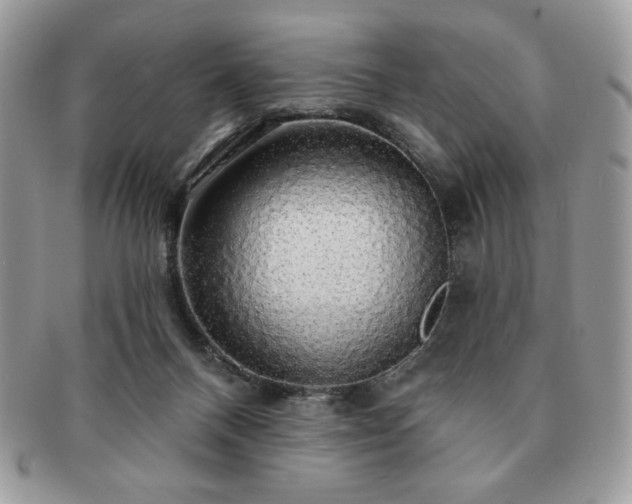 X0000091190120200708161600