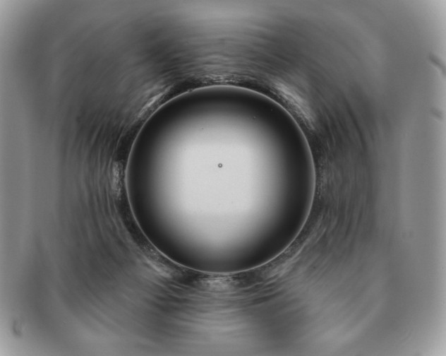 X0000091190121200708161600