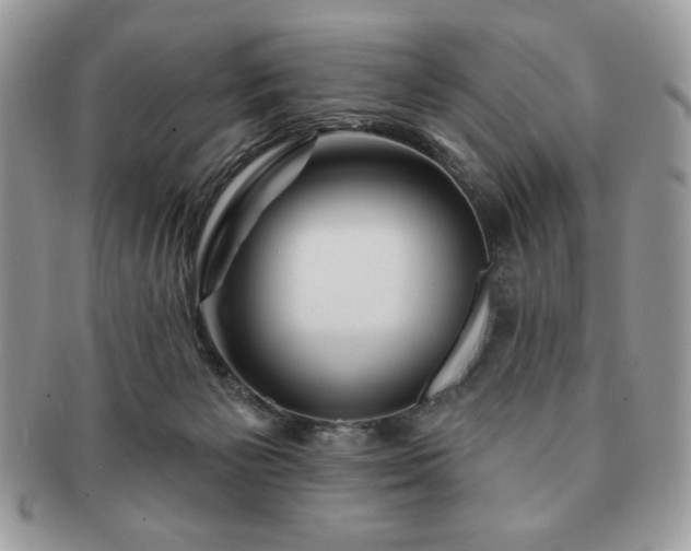 X0000091190125200708161600