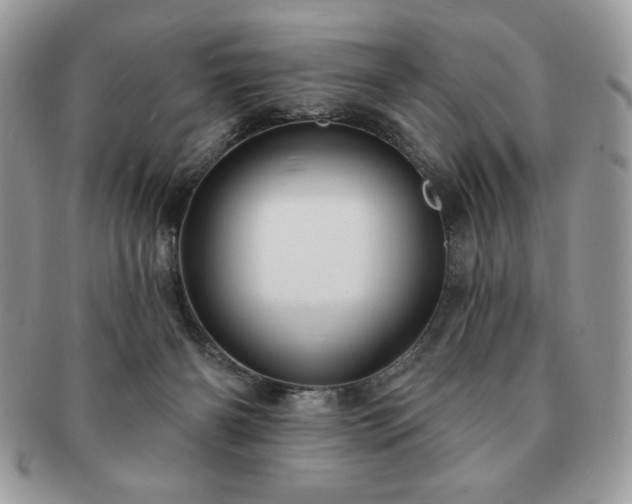 X0000091190126200708161600