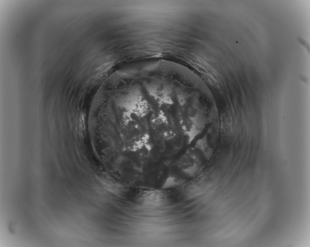 X0000091190127200708161600