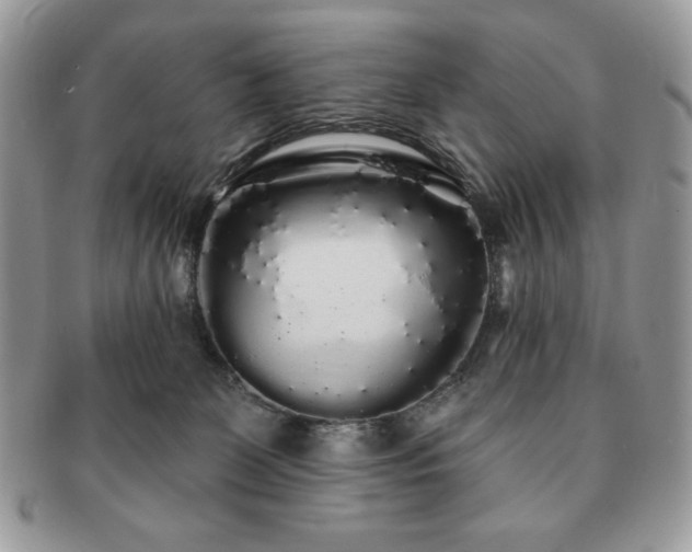 X0000091190131200708161600